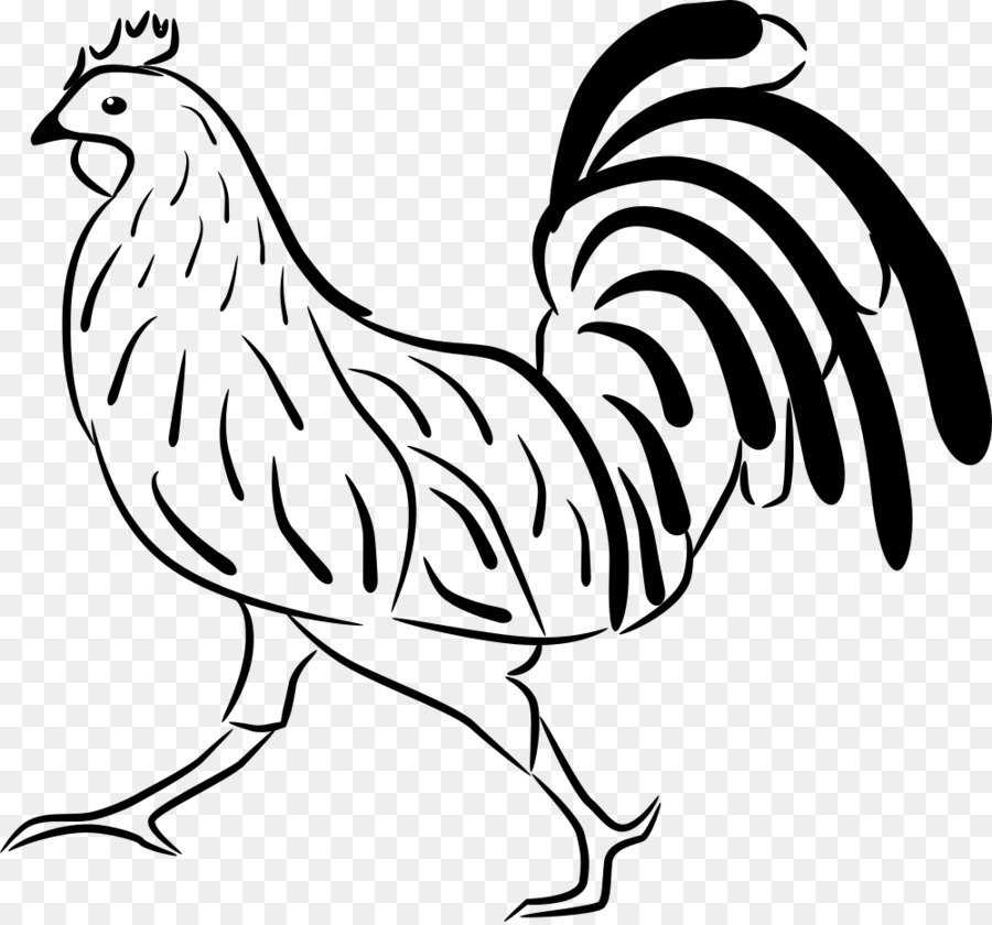 Rooster Drawing Easy