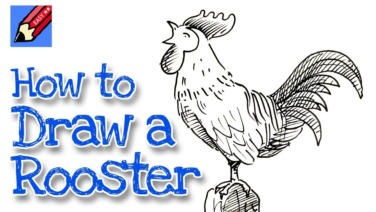 1280x720 How To Draw A Rooster Real Easy For Chinese New Year Drawing