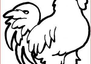 300x210 Rooster Coloring