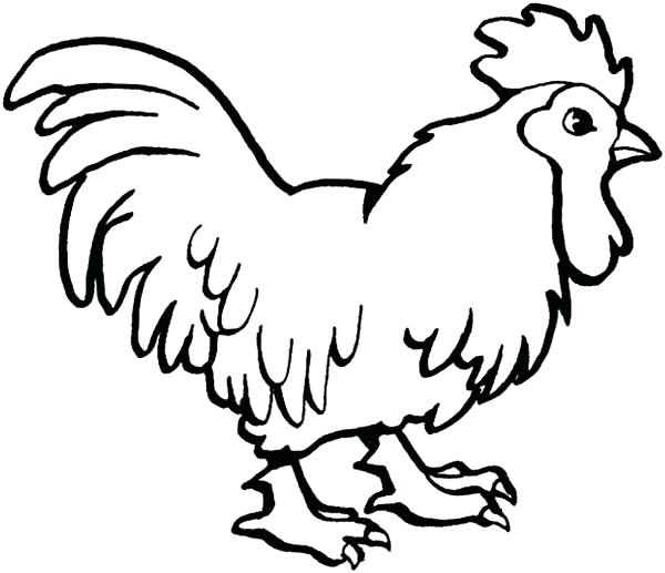 600x517 Rooster Coloring Pages Coloring Page