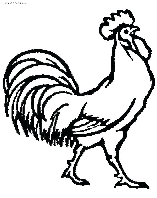 600x756 Rooster Coloring Pages Rooster Coloring