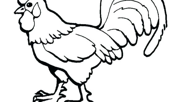 585x329 Rooster Pictures To Color Rooster Cock Black Color Illustration