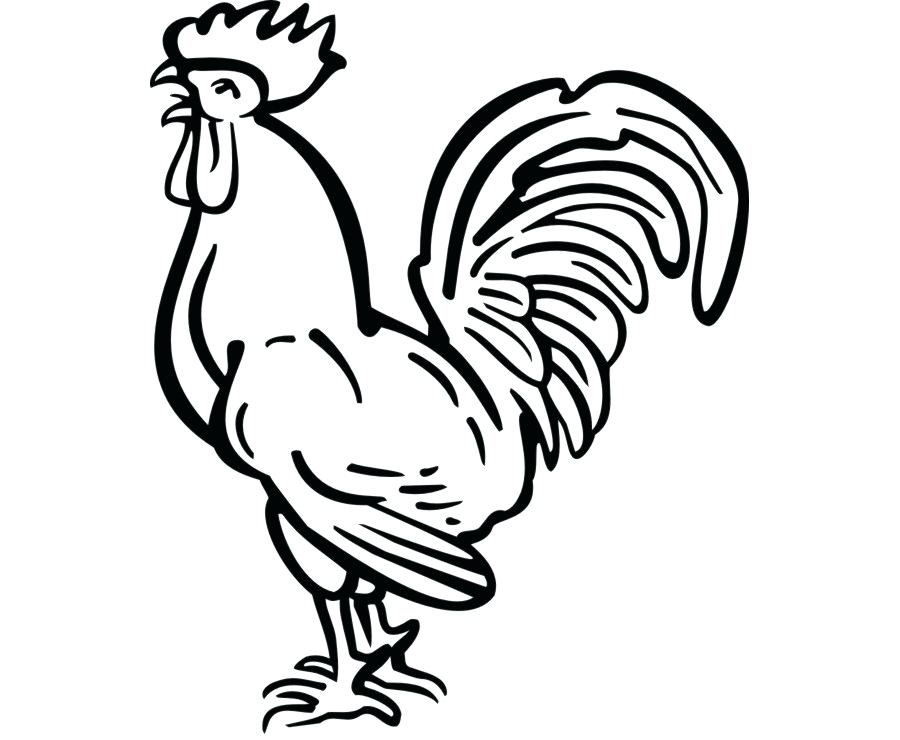 900x740 Drawing Of A Rooster