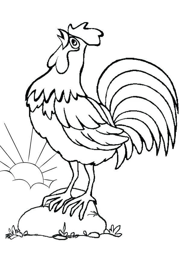 600x850 Drawing Of A Rooster Chicken Drawing Rooster Clip Art Download