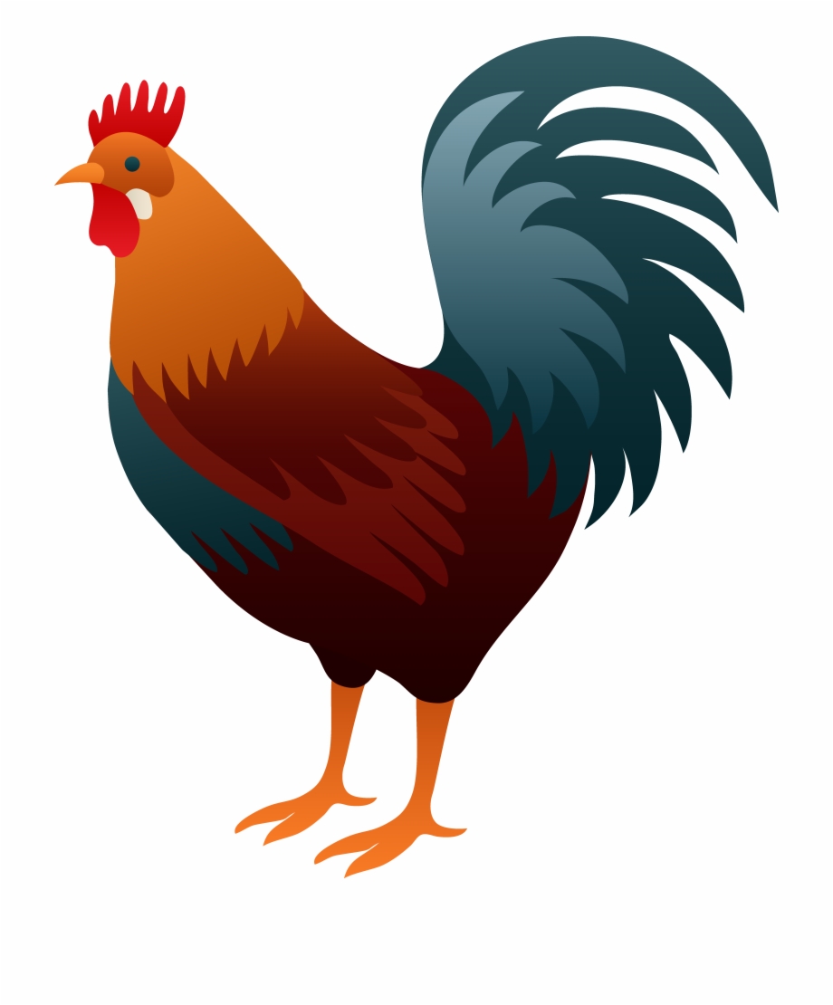 920x1110 Fighting Rooster Silhouette At Getdrawings
