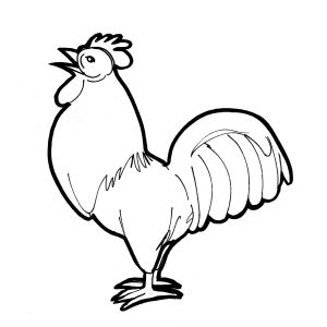 300x300 How To Draw A Rooster Inspirationa Rooster Drawing At Getdrawings