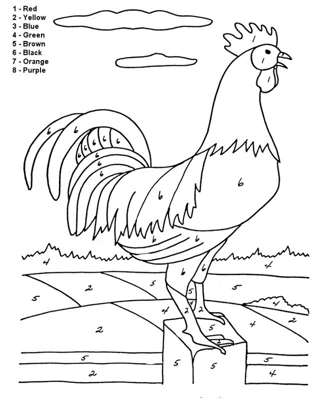 654x800 Rooster