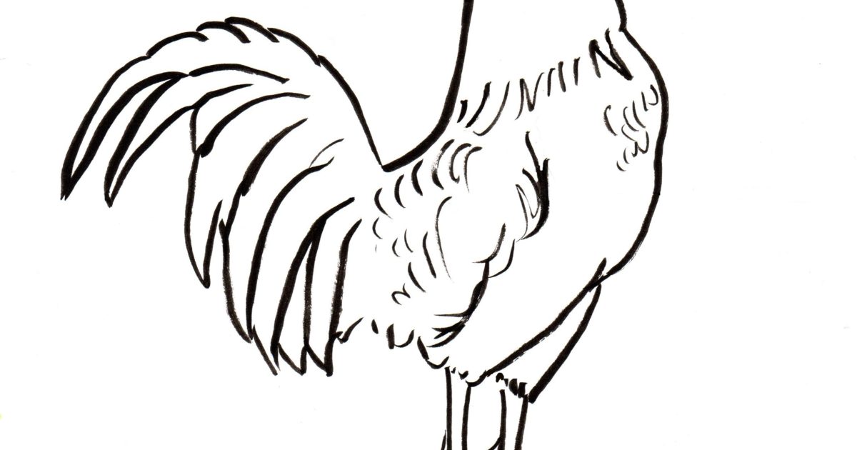 1200x630 Rooster Coloring Page