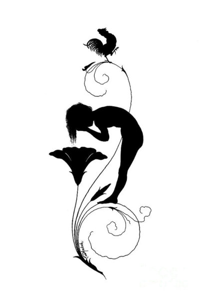 403x600 Rooster Drawings Fine Art America