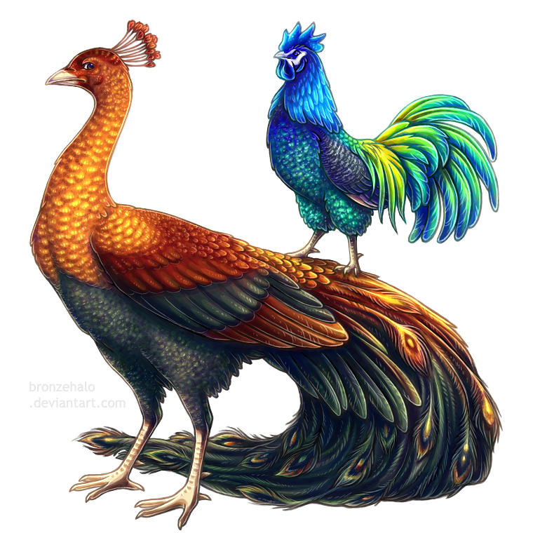 760x760 Collection Of Free Rooster Drawing Colorful Download On Ui Ex