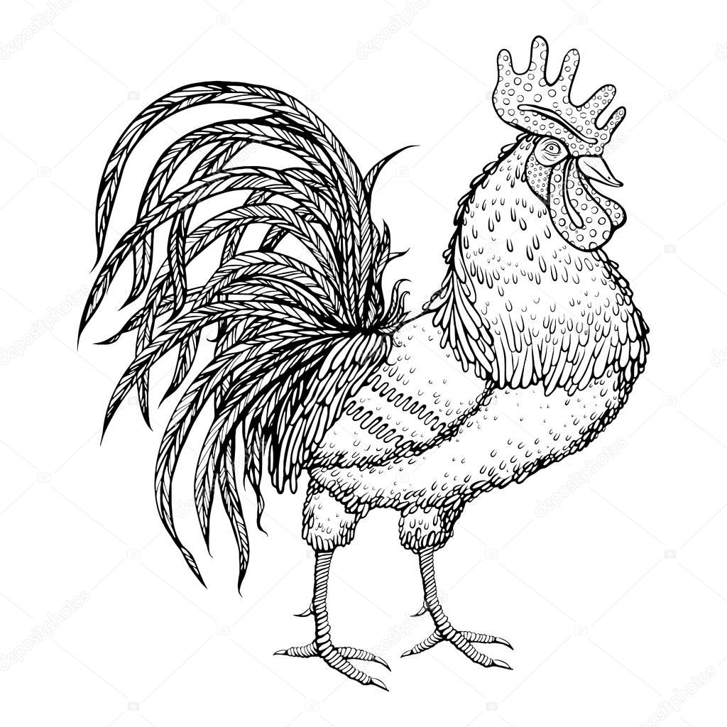 1024x1024 Rooster Drawing Abstract For Free Download