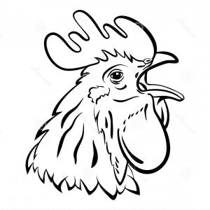 300x300 Hand Sketch Rooster Head Vector Lazttweet