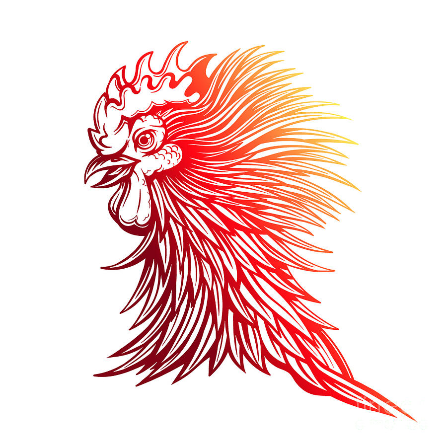 900x900 Vector Red Rooster Head Illustration Digital Art