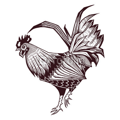 400x400 Rooster Engraving, Freehand Drawing Buy Photos Ap Images