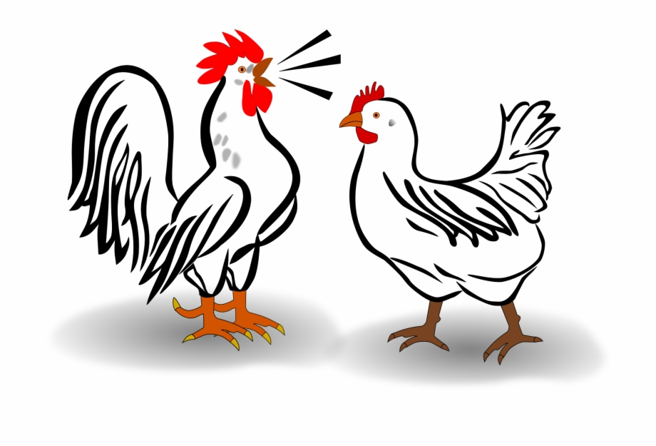 920x625 This Free Icons Png Design Of Rooster And Chicken
