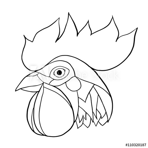 500x500 Vector Drawing Of A Rooster Head Contour