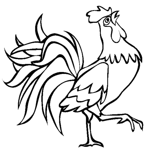 Rooster Outline Drawing