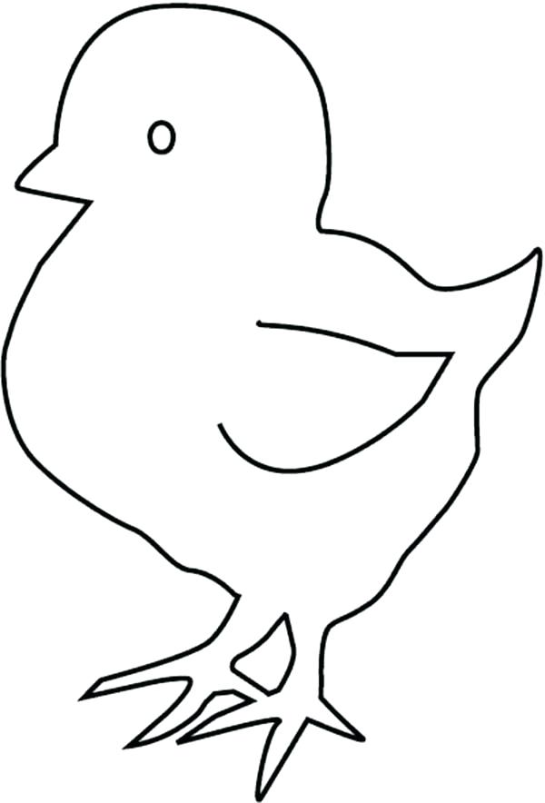 600x884 Collection Of 'chicken Outline Drawing' Download More Than