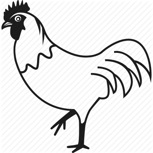 512x512 Drawing Rooster Outline Frames Illustrations Hd Images