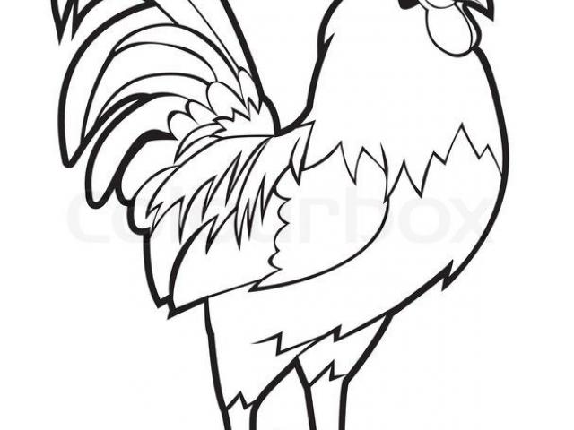 640x480 Free Drawn Rooster, Download Free Clip Art