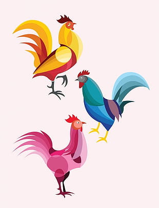 310x406 Free Download Roosters Drawing Design With Colorful Outline