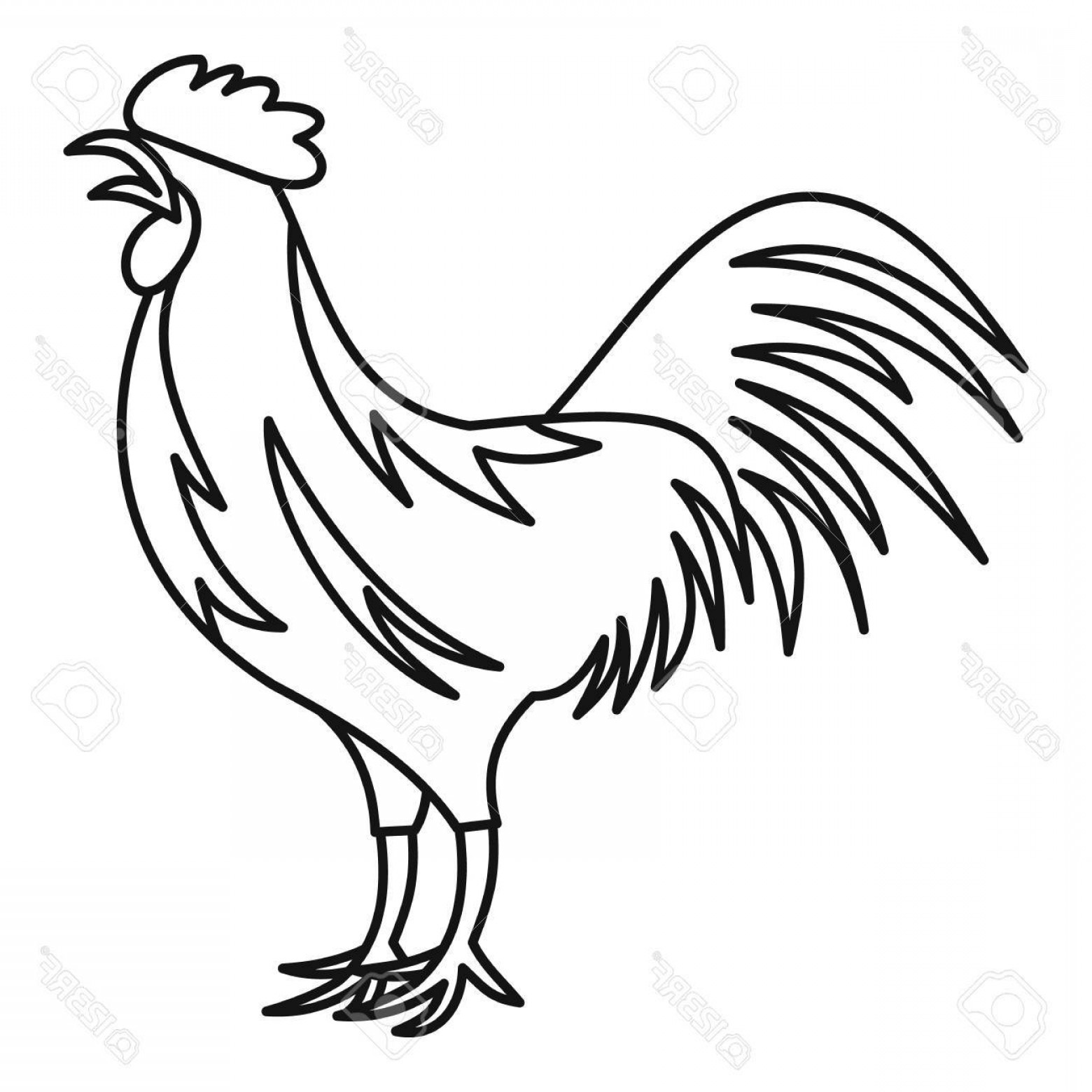 1560x1560 Photostock Vector Gallic Rooster Icon Outline Illustration