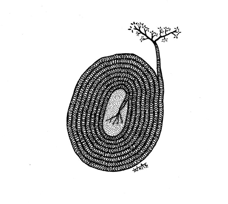 770x691 Endo Roots Drawing