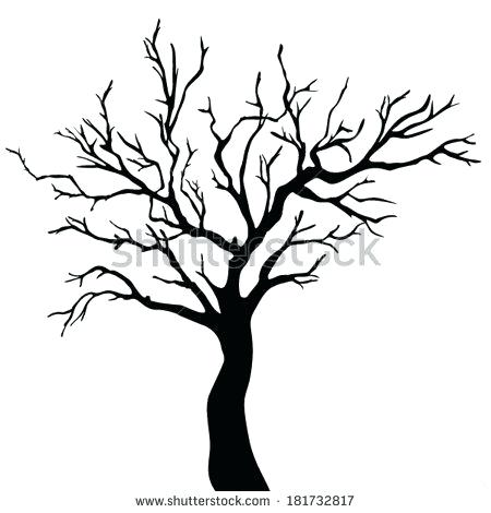 450x470 Outline Of A Tree Image Result For Easy Tree Outline Drawings