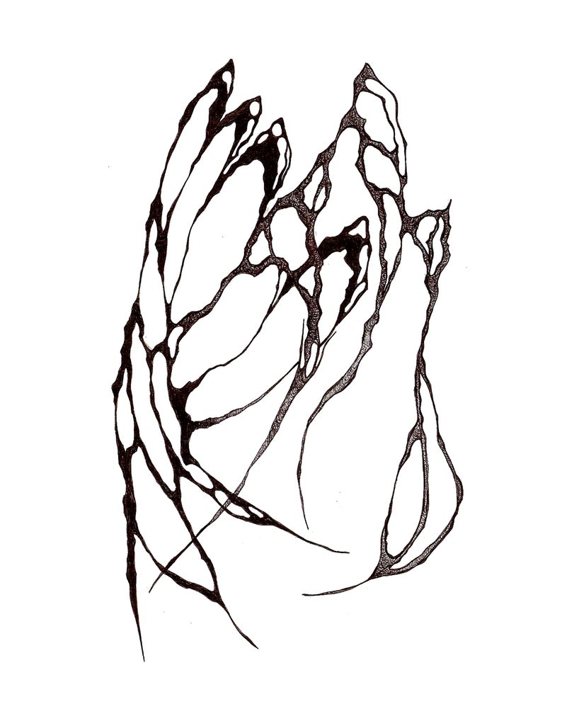 794x1011 Roots Art Print Etsy