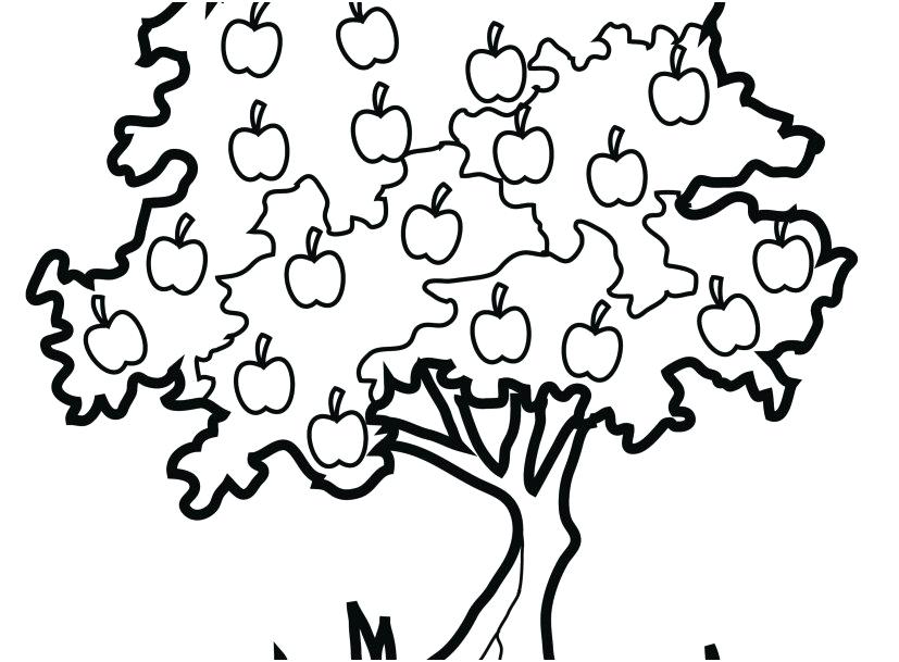 827x609 Tree Coloring Pages With Roots