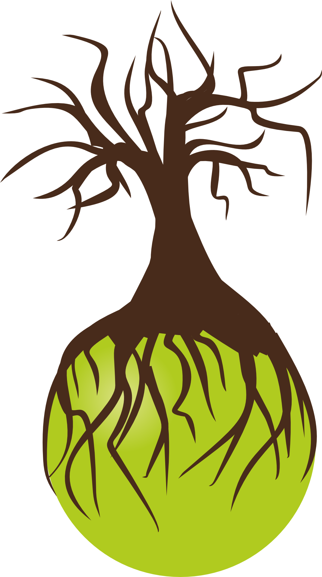 1072x1920 Drawing Of A Tree With Roots Free Image