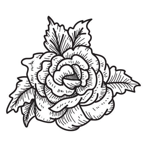 512x512 Collection Of Free Rose Drawing Detailed Download On Ui Ex