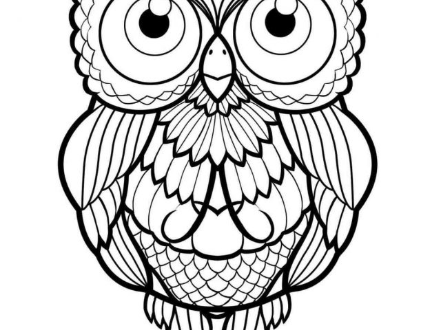 640x480 Easy Owl Drawing