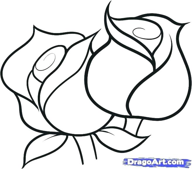 656x578 Drawing Of Simple Rose Easy Rosary Drawing Zupa