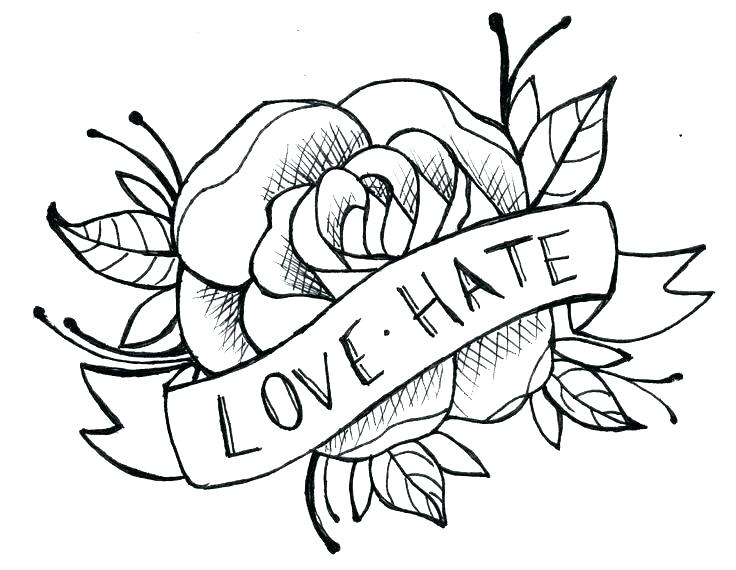 736x570 Drawing A Simple Rose