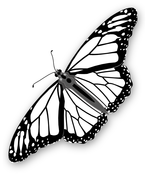 510x598 Collection Of Free Butterflies Drawing Rose Download On Ui Ex