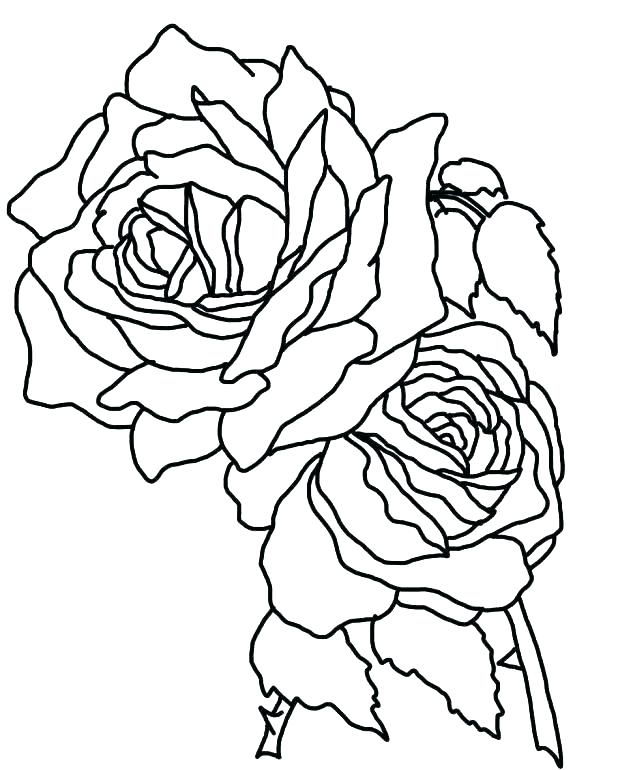 618x770 Fancy Butterfly And Rose Coloring Pages Image Collection