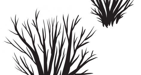 471x250 George Bush Cartoon Drawing Rose Butterfly Images A Step