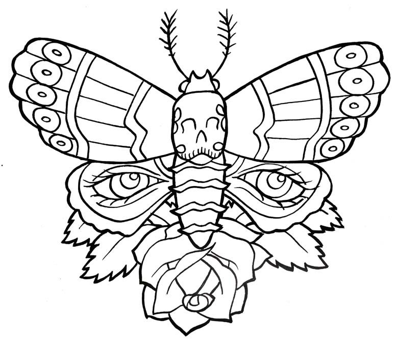 776x665 Outline Of Butterfly