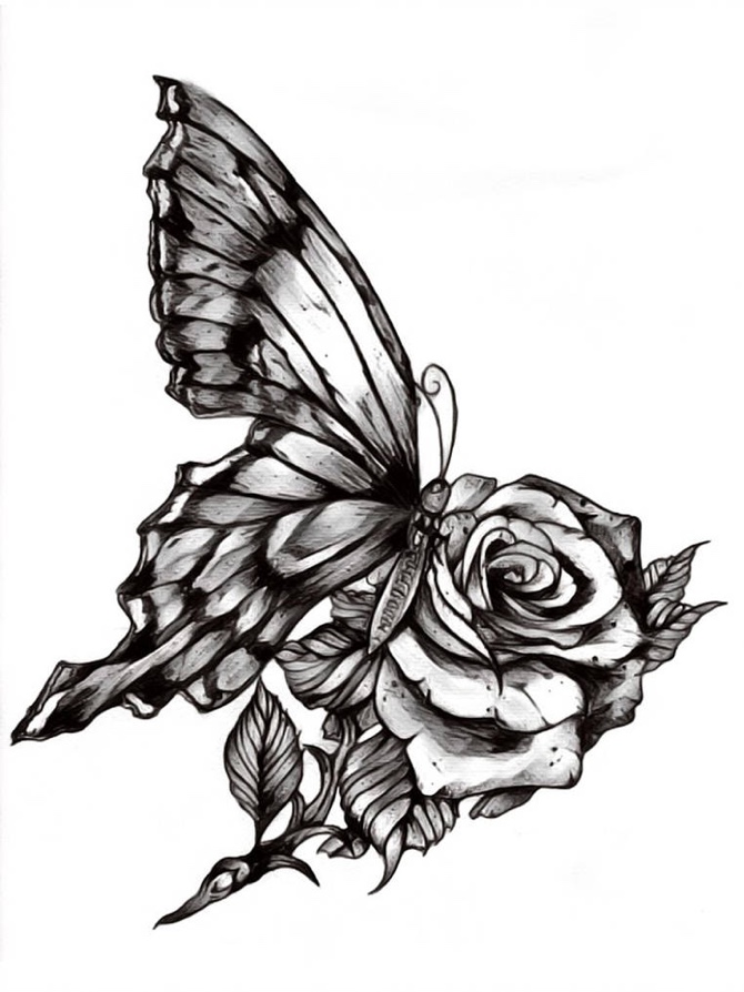 670x894 Steven Butterfly Rose Tattoodo