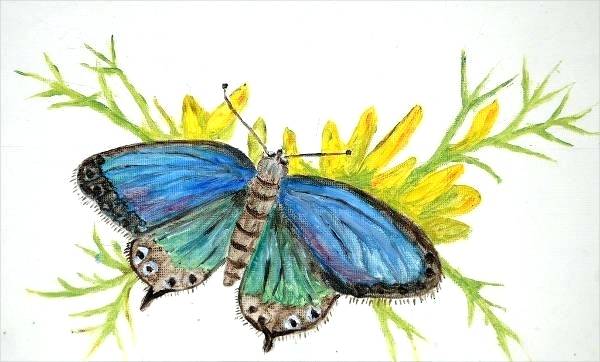 600x362 Butterfly Drawings