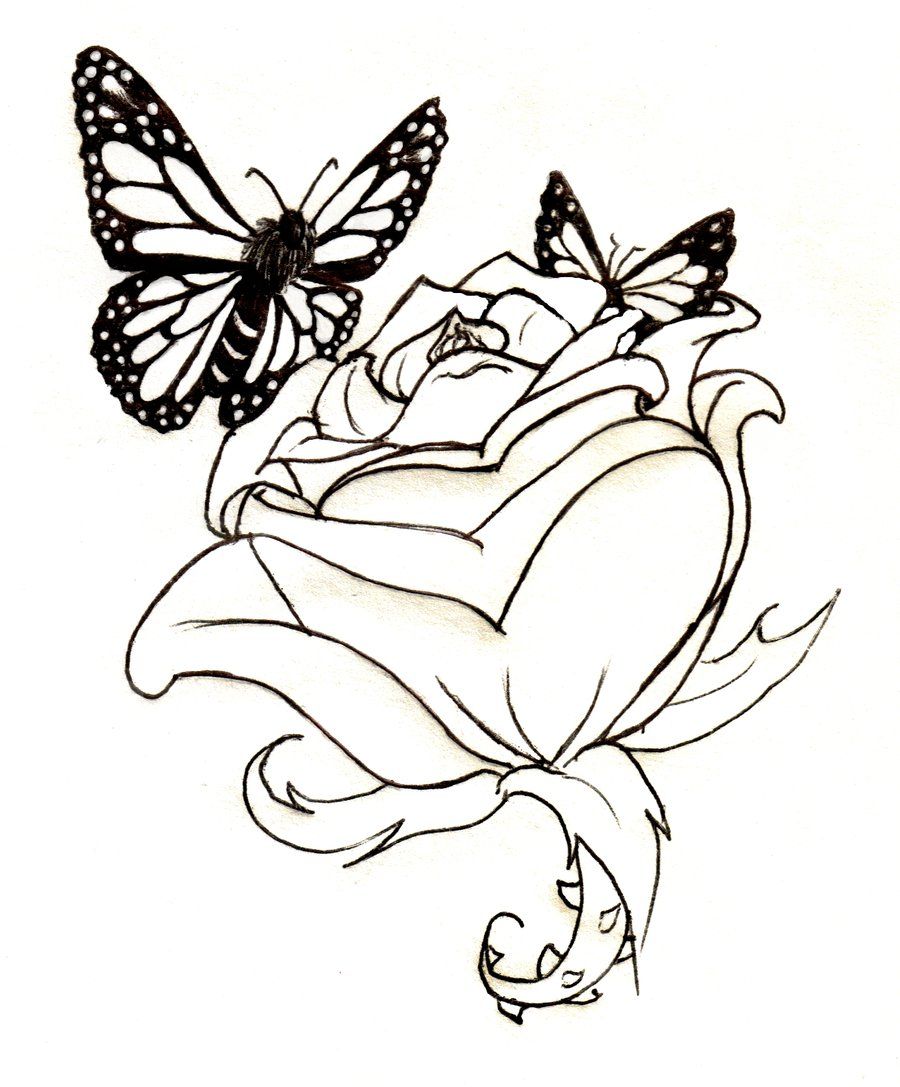 900x1087 Butterfly Roses Tattoo Lineart Rose And Butterflies
