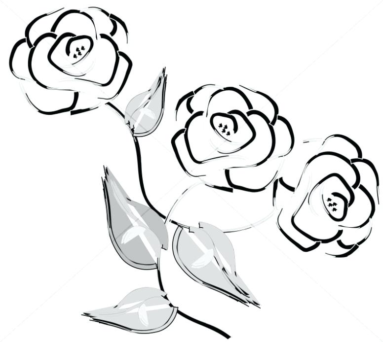 776x694 Simple Rose Outline Simple Rose Outline Drawing Google Search
