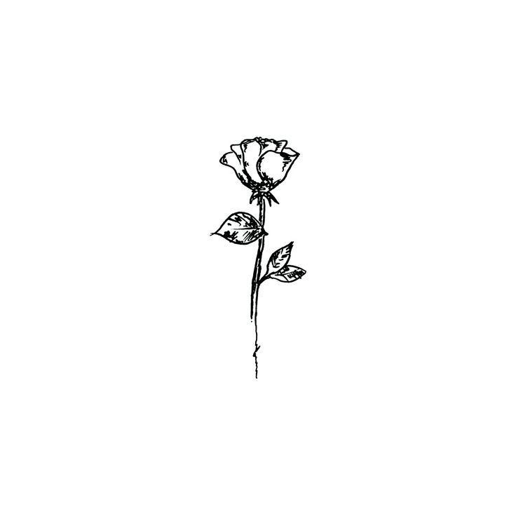 736x736 Image Result For Rose And Stem Drawing Art Tattoos, Finger