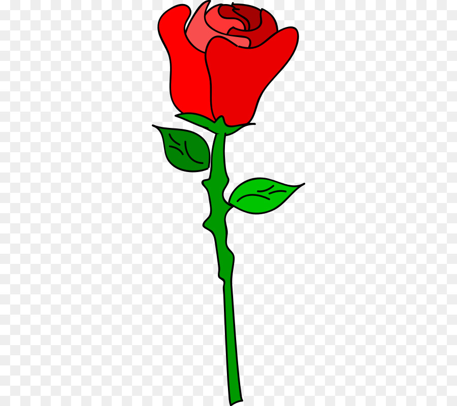 900x800 Drawing, Rose, Cartoon, Transparent Png Image Clipart Free Download