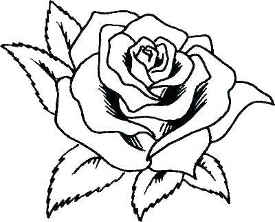 Rose Border Drawing | Free download on ClipArtMag