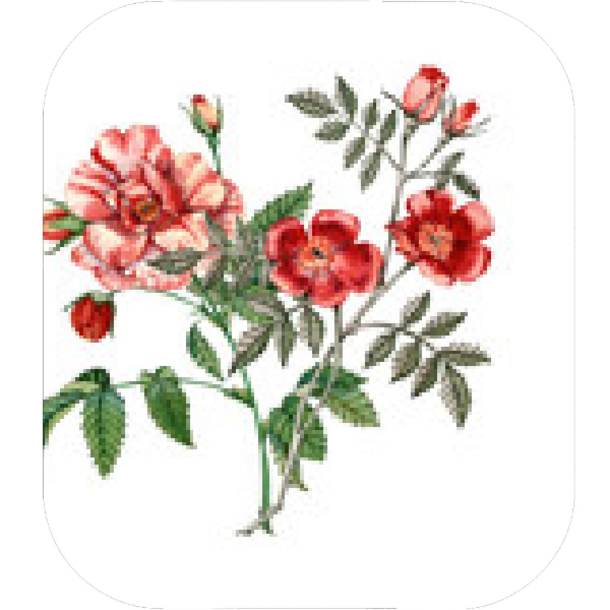 1200x1200 Designs Mein Mousepad Design Mousepad Selbst Designen