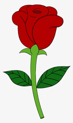 300x507 Rose Drawing Png Download Transparent Rose Drawing Png Images