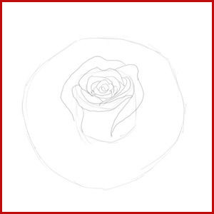 300x300 Rose Bud Drawing Easy Steps To Draw A Flower How To Draw