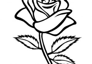 300x210 Rose Flower Drawing How To Draw A Rose Bud, Rose Bud Step